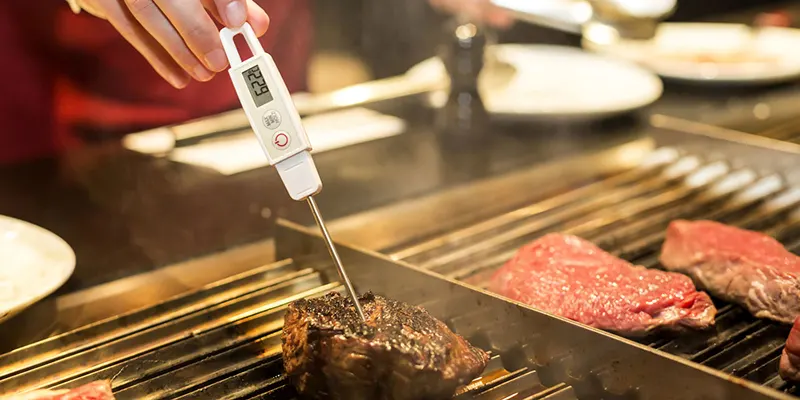 What to Look for When Buying a Meat Thermometer